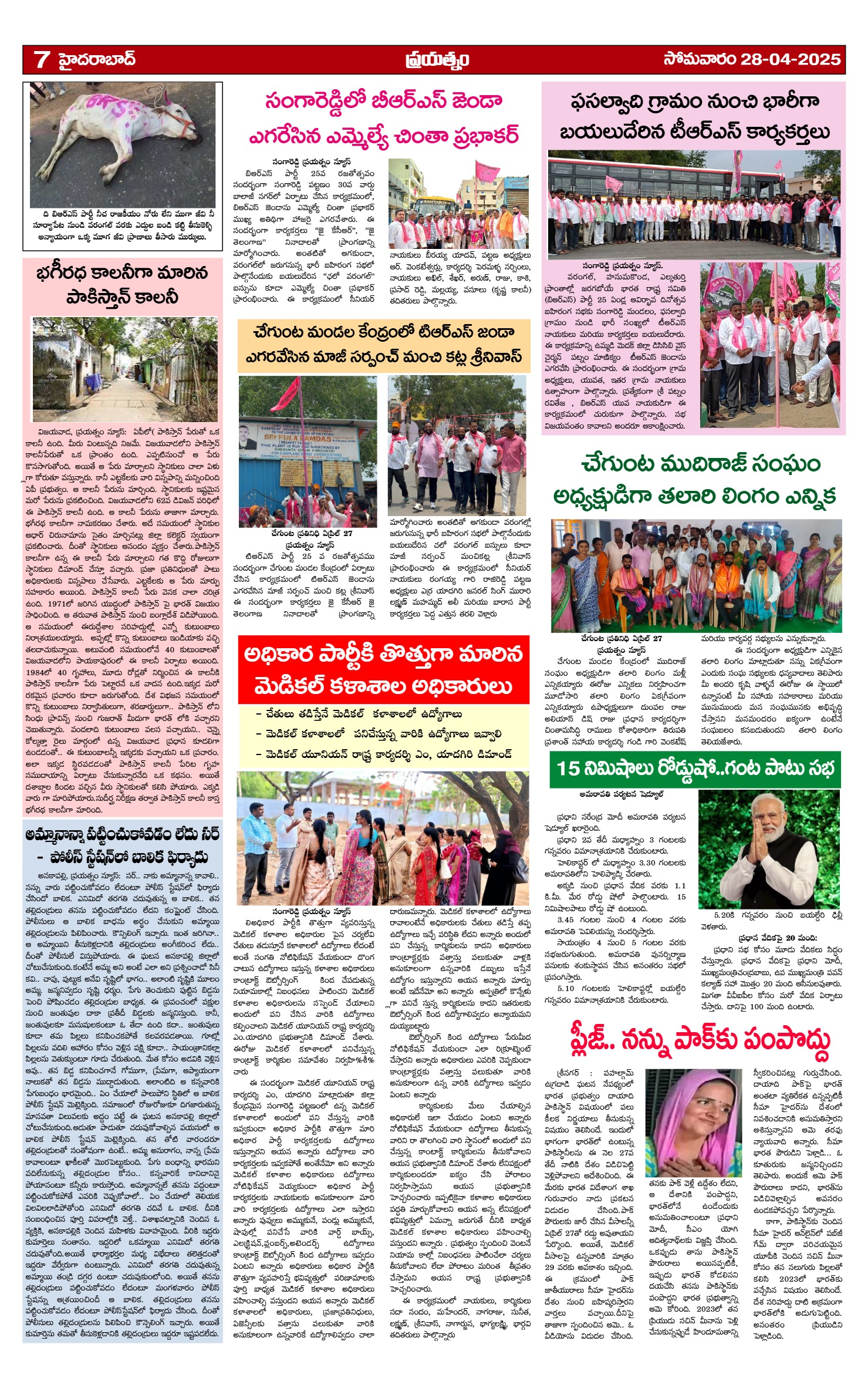 Page 7