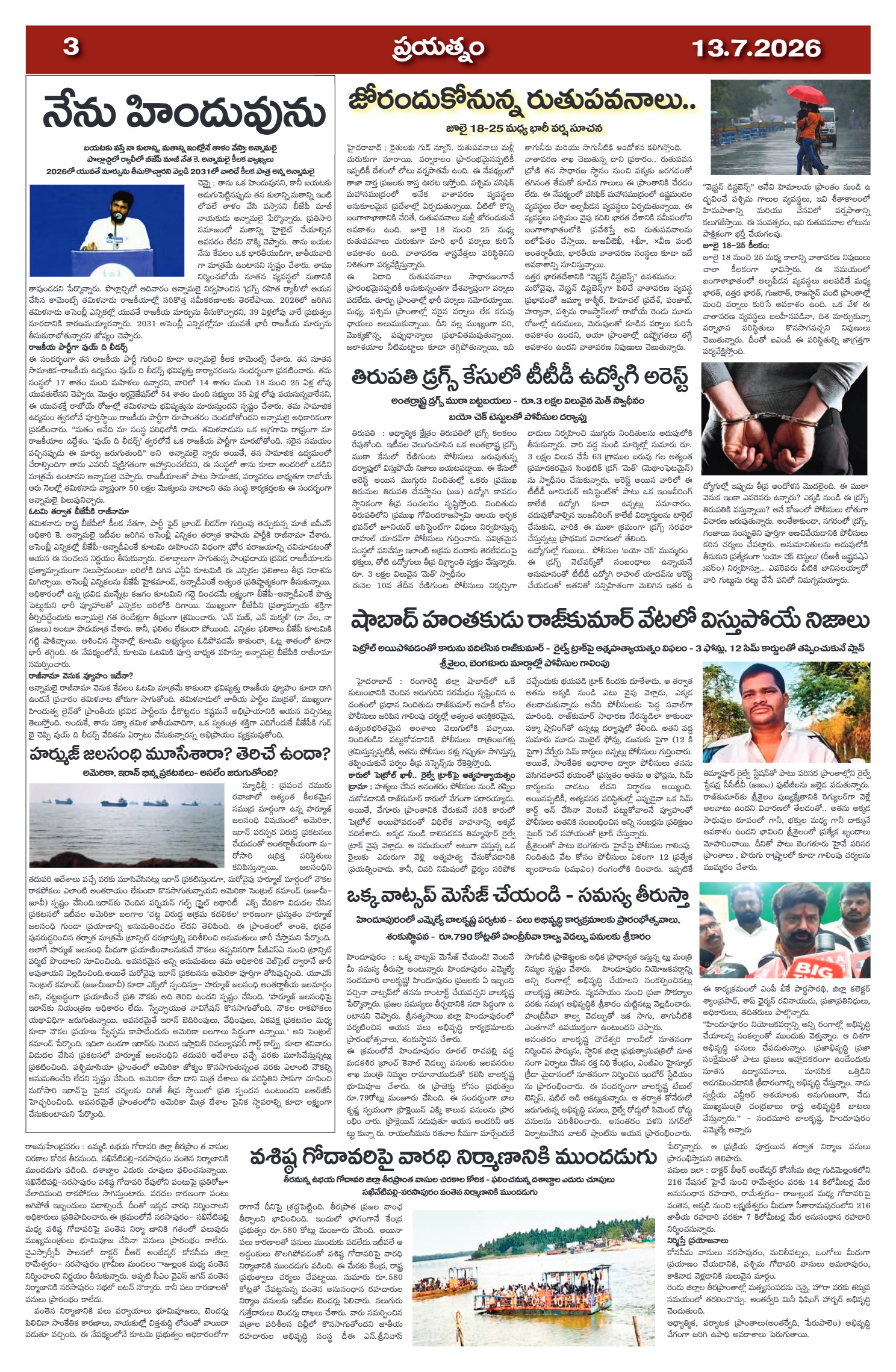 Page 3