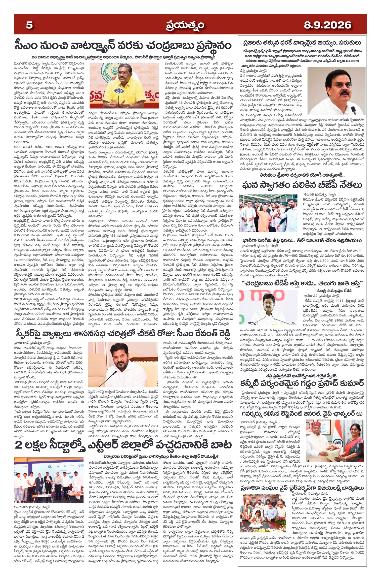 Page 5