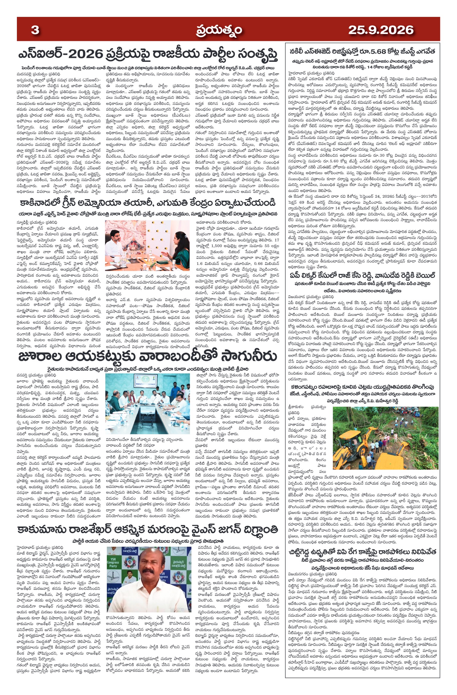 Page 3